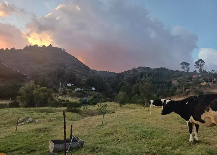 Glamping La Cacica