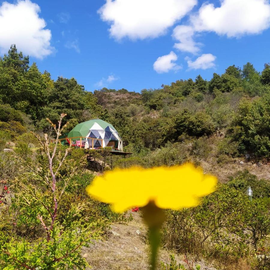 Glamping La Cacica *