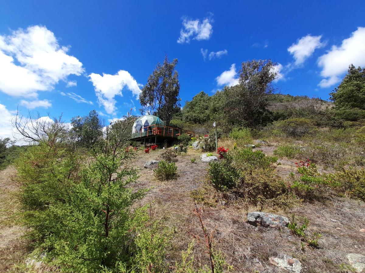 Glamping La Cacica