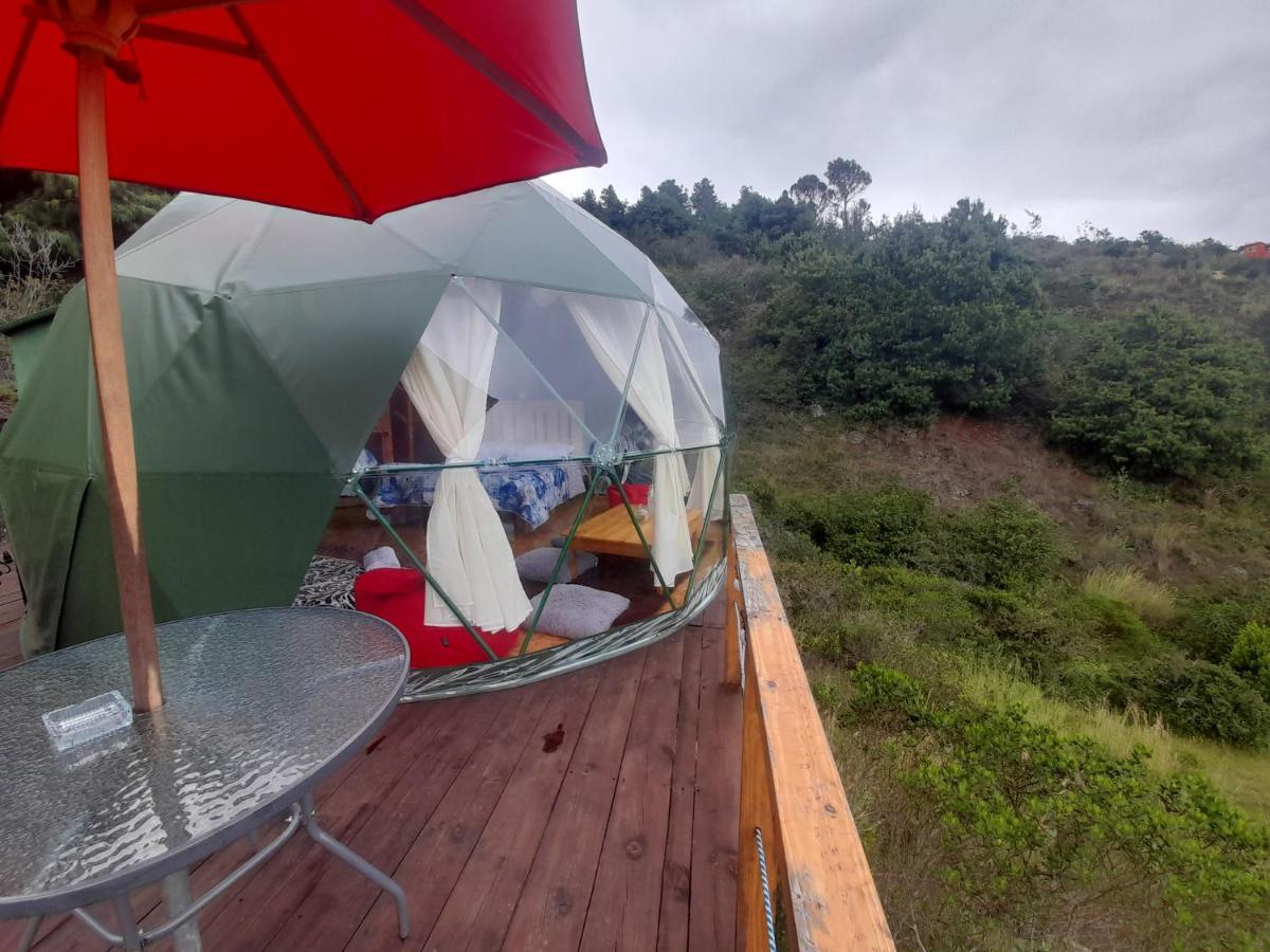 Glamping La Cacica *