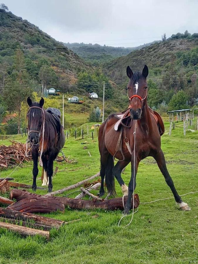 Glamping La Cacica Guatavita