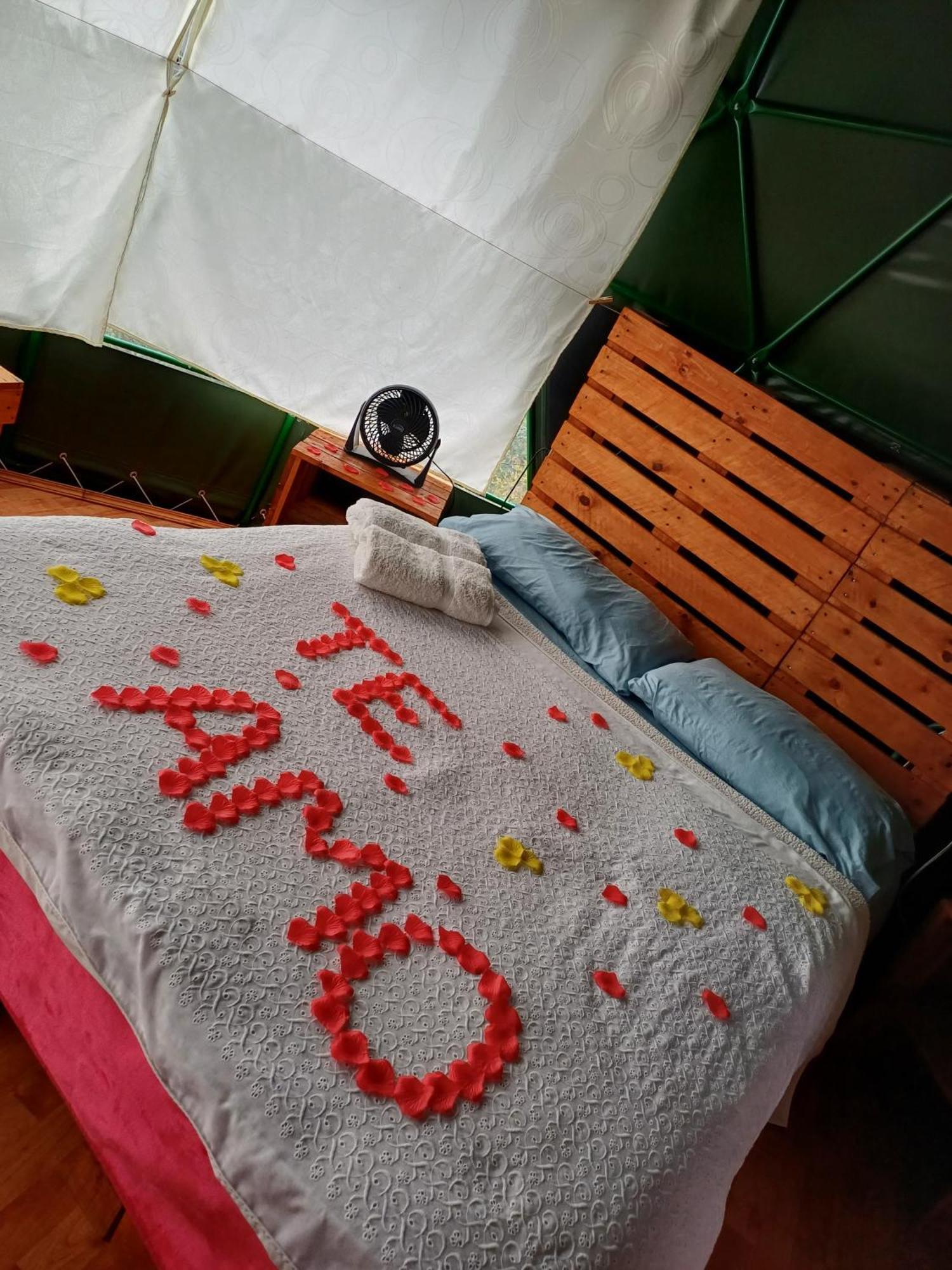 Glamping La Cacica *