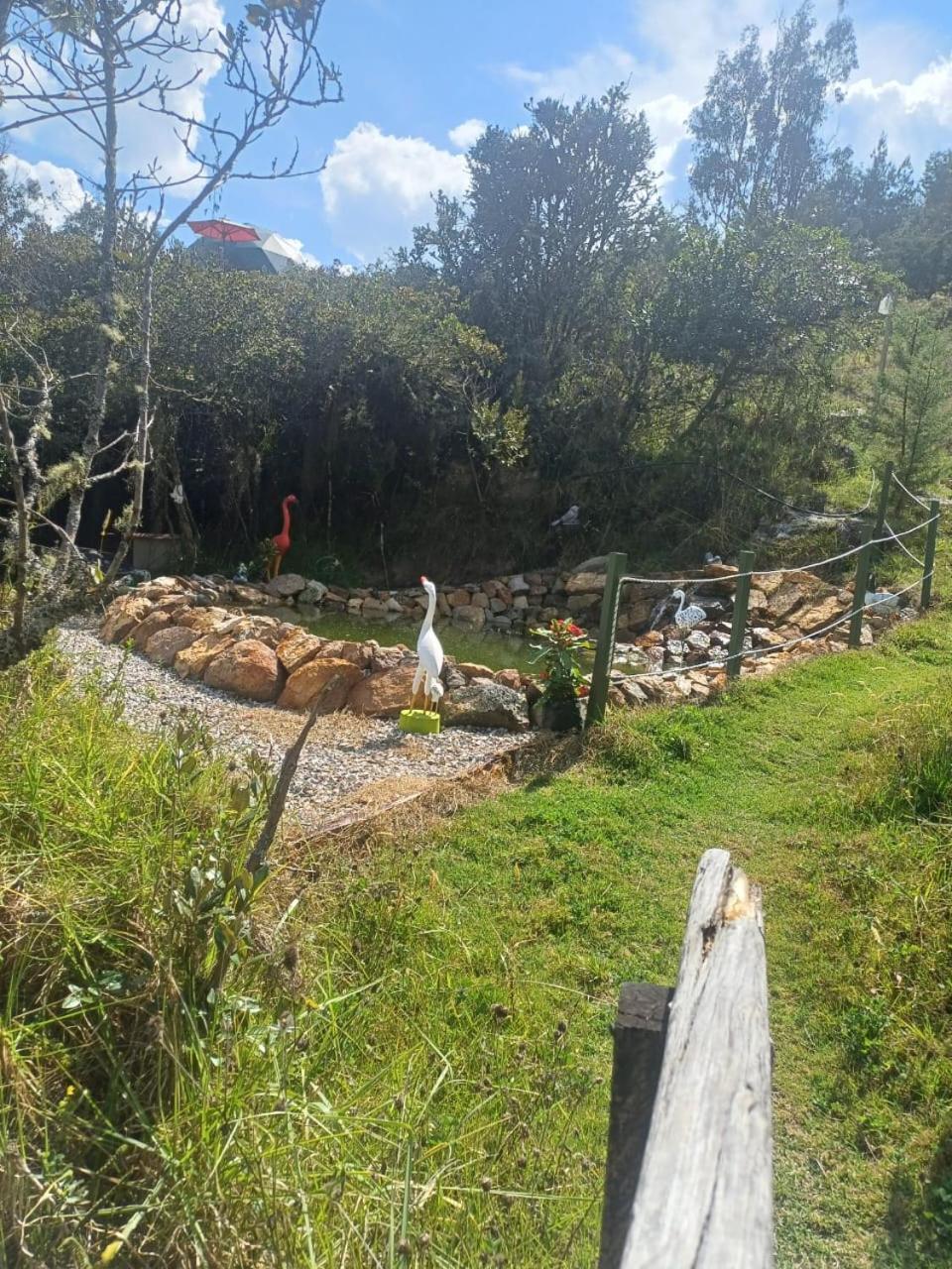 Glamping La Cacica Luxury tent