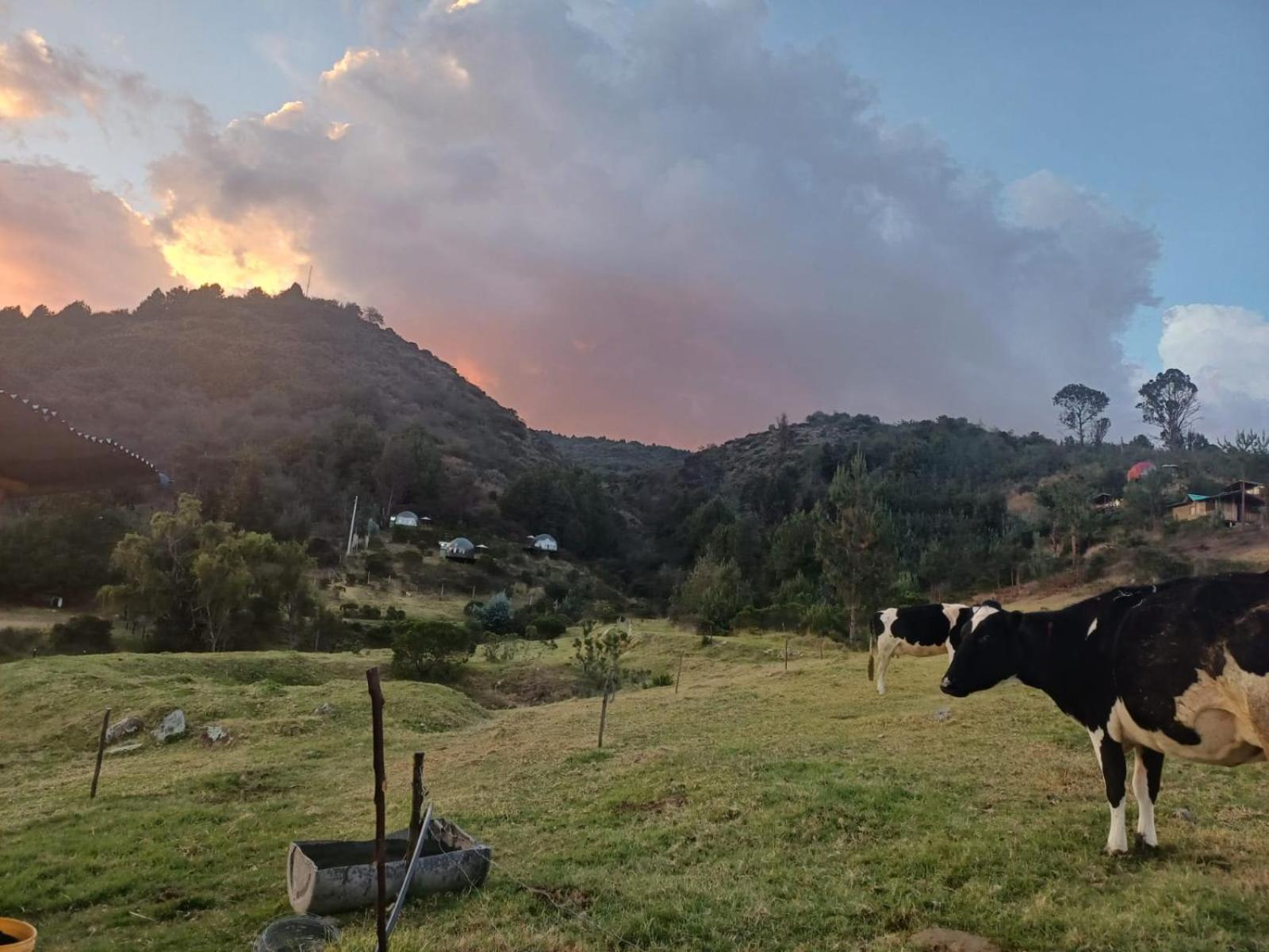Glamping La Cacica Guatavita